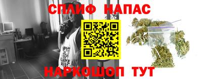 эйфоретик Обь
