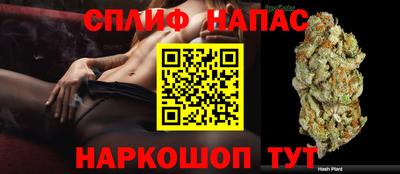 дживик Обнинск